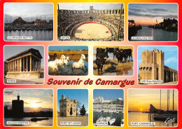 13-CAMARGUE-N°4213-C/0093 - Autres & Non Classés