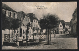 AK Gerolzhofen, Rigshofer-Strasse Mit Brunnen  - Gerolzhofen