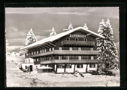 AK Jungholz / Tirol, Hotel-Pension Haus Alpenhof  - Autres & Non Classés