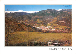 66-PRATS DE MOLLO LA PRESTE-N°4213-B/0033 - Andere & Zonder Classificatie