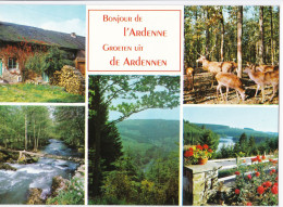 Bonjour De L'Ardenne - Autres & Non Classés