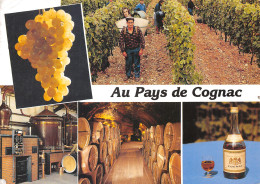 16-COGNAC-N°4213-D/0251 - Cognac