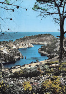 13-CASSIS-N°4213-D/0163 - Cassis