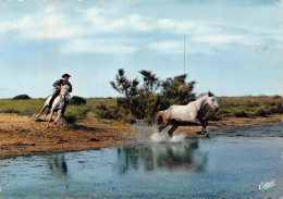 13-CAMARGUE-N°4214-C/0321 - Autres & Non Classés