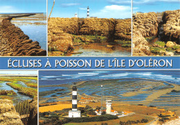 17-ILE D OLERON-N°4214-C/0237 - Ile D'Oléron