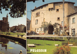 42-PELUSSIN-N°4214-C/0083 - Pelussin