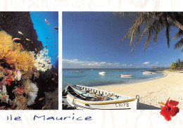 MAU-ILE MAURICE-N°4214-B/0255 - Maurice