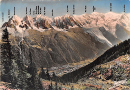 74-CHAMONIX-N°4214-A/0281 - Chamonix-Mont-Blanc