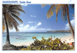 971-GUADELOUPE SAINTE ANNE-N°4214-A/0269 - Other & Unclassified