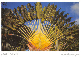 972-MARTINIQUE ARBRE DU VOYAGEUR-N°4214-A/0257 - Andere & Zonder Classificatie