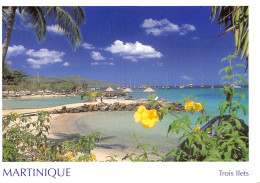 972-MARTINIQUE TROIS ILETS-N°4214-A/0243 - Other & Unclassified