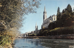 65-LOURDES-N°4214-E/0311 - Lourdes