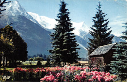 74-CHAMONIX MONT BLANC-N°4214-E/0203 - Chamonix-Mont-Blanc