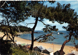 85-NOIRMOUTIER-N°4215-C/0373 - Noirmoutier