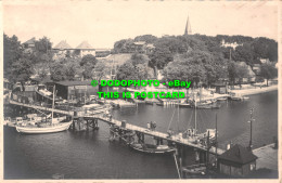 R503946 Harbour. Mimosa. Postcard - World