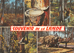 40-LA LANDE-N°4215-C/0095 - Sonstige & Ohne Zuordnung