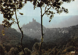 12-NAJAC LE CHATEAU-N°4215-C/0007 - Najac