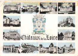 41-CHATEAUX DE LA LOIRE-N°4215-B/0309 - Other & Unclassified