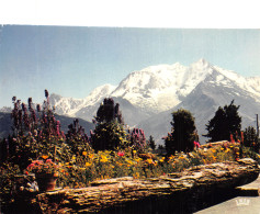 74-CHAMONIX-N°4215-A/0283 - Chamonix-Mont-Blanc