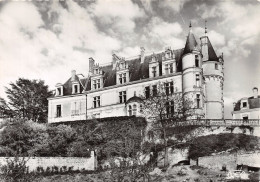 41-CHATEAUVIEUX LE CHATEAU-N°4215-D/0313 - Other & Unclassified