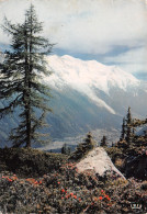 74-CHAMONIX MONT BLANC-N°4215-D/0281 - Chamonix-Mont-Blanc