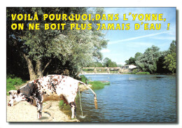 89-L YONNE PAYSAGE-N°4216-C/0209 - Autres & Non Classés