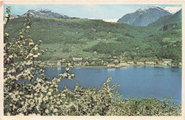 NORVEGE - View Of Ulvik In Hardanger - Colorisé - Carte Postale - Noorwegen