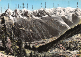 74-CHAMONIX-N°4217-A/0237 - Chamonix-Mont-Blanc