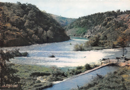 42-LES GORGES DE LA LOIRE-N°4217-A/0173 - Sonstige & Ohne Zuordnung