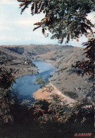 42-LES GORGES DE LA LOIRE-N°4217-A/0171 - Sonstige & Ohne Zuordnung