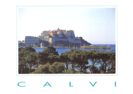 20-CALVI-N°4217-A/0029 - Calvi