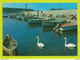 83 LE BRUSC Vers Six Fours N°5 211 Les Cygnes Dans Le Port Barques Ou Bateaux De Pêche VOIR DOS Et Flamme En 1973 - Six-Fours-les-Plages