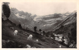 65-GAVARNIE-N°4216-E/0313 - Gavarnie