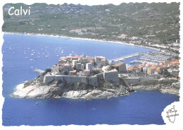 20-CALVI-N°4216-D/0333 - Calvi