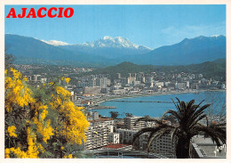 20-AJACCIO-N°4217-C/0281 - Ajaccio