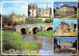 18-BERRY LES CHATEAUX-N°4217-C/0229 - Sonstige & Ohne Zuordnung