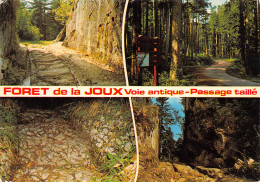 39-FORET DE LA JOUX-N°4217-B/0371 - Sonstige & Ohne Zuordnung