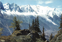 74-CHAMONIX-N°4217-B/0195 - Chamonix-Mont-Blanc
