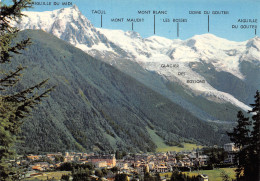 74-MONT BLANC-N°4218-A/0309 - Other & Unclassified