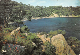 83-TOULON-N°4218-A/0033 - Toulon