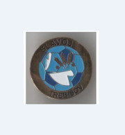 Badge Pin: European Football Clubs Slovakia -  " FK Slavoj Trebišov " - Fútbol