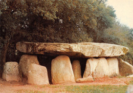 85-DOLMEN DE LA FERBOUCHERE-N°4218-C/0285 - Sonstige & Ohne Zuordnung