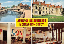 45-MONTARGIS CEPOY-N°4218-C/0267 - Montargis