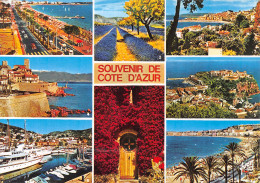 06-CANNES-N°4218-C/0153 - Cannes