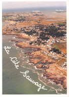 44-LA COTE SAUVAGE-N°4218-B/0253 - Other & Unclassified