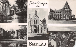 89-BLENEAU-N°4219-A/0197 - Bleneau