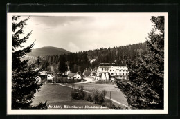 AK Mönichkirchen, Ortsansicht Mit Alpenhotel Lang  - Other & Unclassified