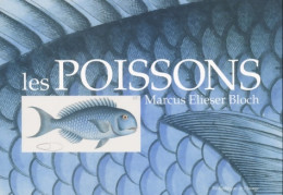 Les Poissons (2000) De Marcus-eliezer Bloch - Altri & Non Classificati