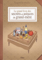 Le Grand Livre Des Secrets Et Astuces De Grand-mère : Le Guide De Référence (2011) De Sonia De Sousa - Bricolage / Tecnica