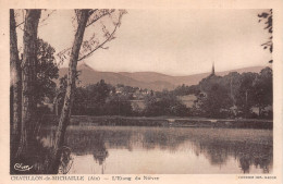 01-CHATILLON DE MICHAILLE-N°4219-F/0349 - Non Classés